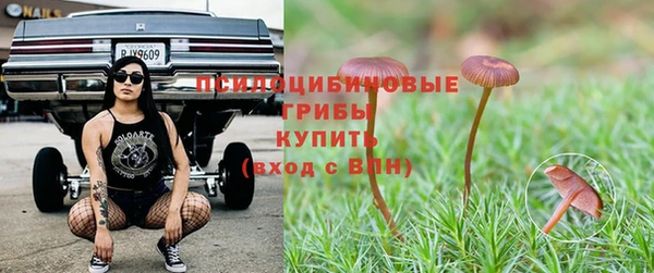 соль курить ск Арсеньев