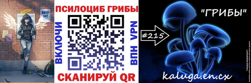 даркнет сайт  Данилов  Псилоцибиновые грибы GOLDEN TEACHER 